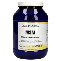 MSM 500 mg GPH Kapseln