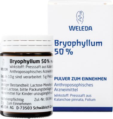 BRYOPHYLLUM 50% Pulver zum Einnehmen