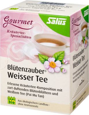 WEISSER TEE Blütenzauber Bio Salus Filterbeutel