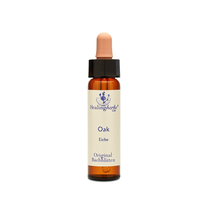 BACHBLÜTEN Oak Healing Herbs Tropfen
