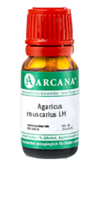 AGARICUS MUSCARIUS LM 8 Dilution