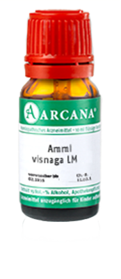 AMMI VISNAGA LM 19 Dilution