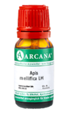 APIS MELLIFICA LM 2 Dilution