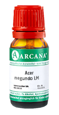 ACER negundo LM 14 Dilution